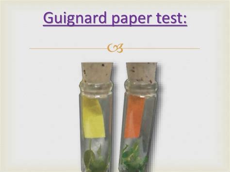 Read Online Guignard Paper Test 