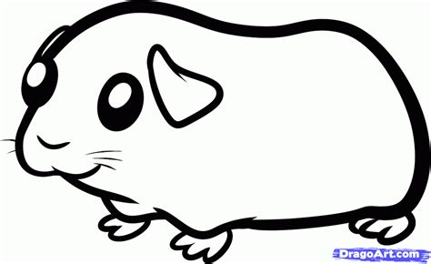 Guinea Pig Coloring Page Easy Drawing Guides Guinea Pig Coloring Page - Guinea Pig Coloring Page