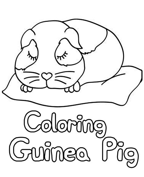 Guinea Pig Coloring Pages Amp Books 100 Free Guinea Pig Coloring Page - Guinea Pig Coloring Page