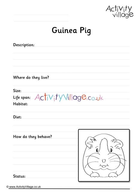 Guinea Pig Worksheets Activity Village Guinea Pig Worksheet - Guinea Pig Worksheet