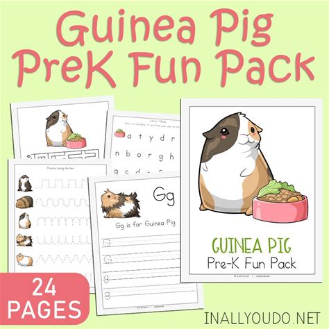 Guinea Pig Worksheets Kiddy Math Guinea Pig Worksheet - Guinea Pig Worksheet