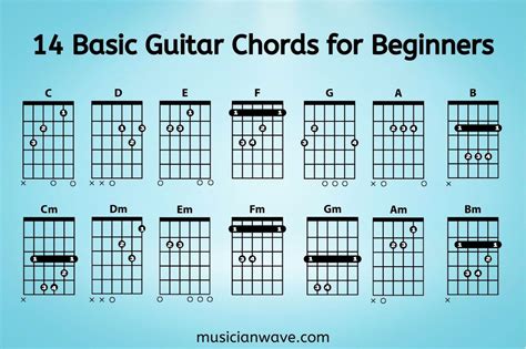Guitar Basics For Beginners