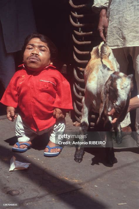 gul mohammed biography examples