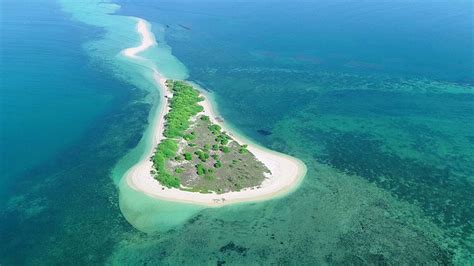 Gulf Of Mannar