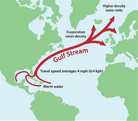gulf stream florida
