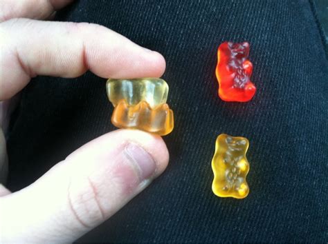 Gummybear69