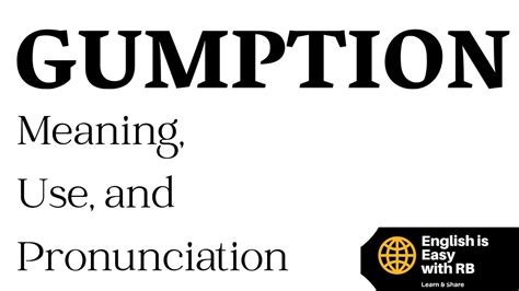 Gumption Meaning