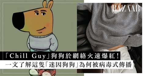 guy意思