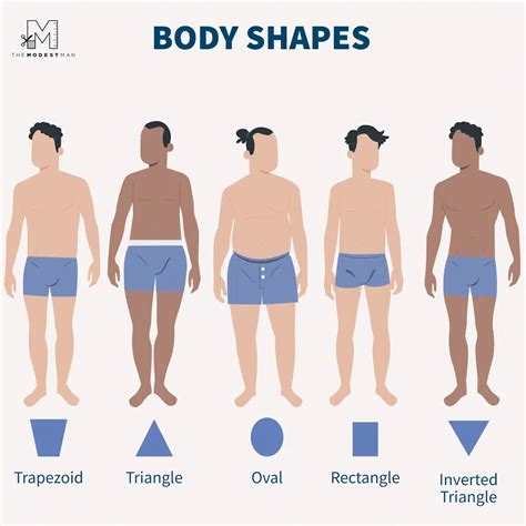Guys Body Shapes