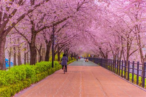 hàn quốc | Gii Thiu V t Nc Hn Quc