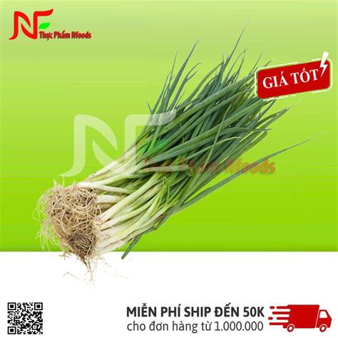 hành | n hnh ti c tt khng Ai