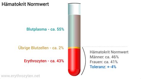 hämatokrit wert