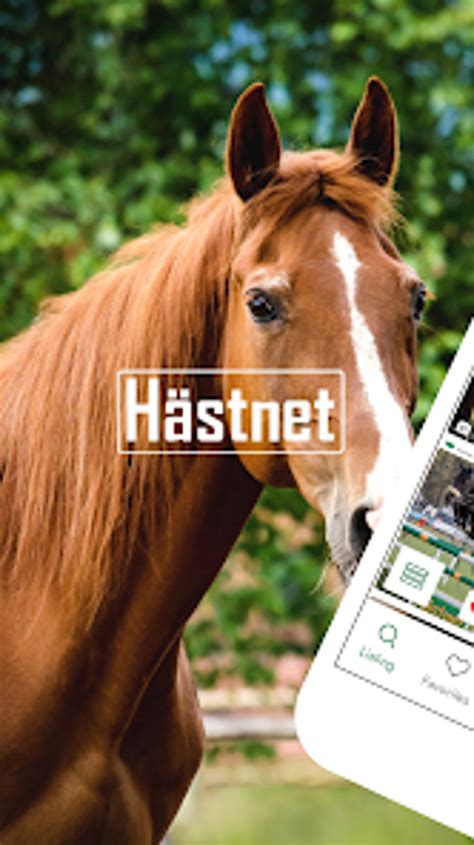 hästnet