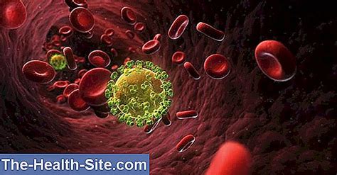 hårcellsleukemi prognos