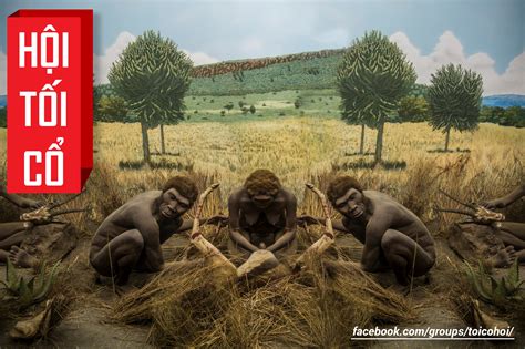 hội tối cổ | Tr thnh ngi ti c sau mt