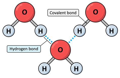 H Bonding