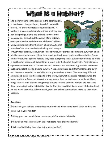 Habitat Reading Grade 3 Worksheet   Reading Comprehension Animal Habitats Grade 3 Lesson Worksheets - Habitat Reading Grade 3 Worksheet
