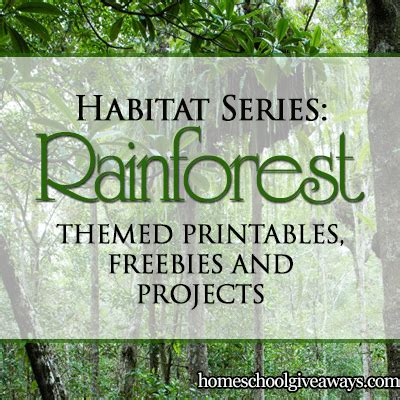 Habitat Series Rainforest Themed Printables Freebies And Projects Rainforest Plant Coloring Pages - Rainforest Plant Coloring Pages