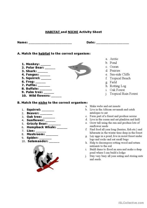 Read Online Habitat And Niche Activity Sheet Answers 