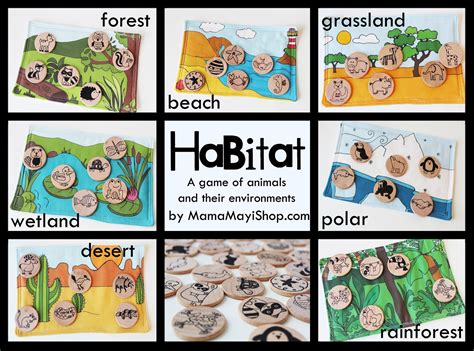 Habitats Activities For Kids With A Freebie Elementary Habitat Worksheets For First Grade - Habitat Worksheets For First Grade