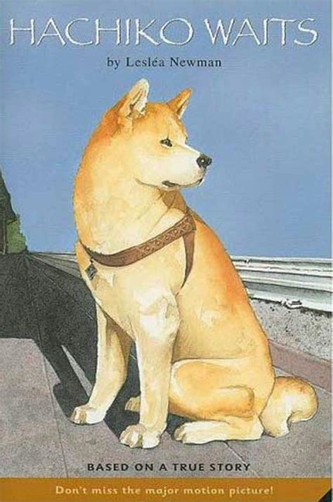 hachiko waits resources