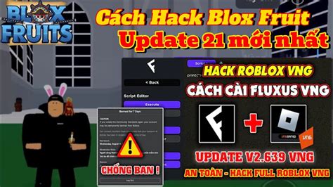 hack blox fruit vng | Hng Dn Hack Blox Fruits VNG Chnh