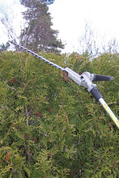 hack klippning goteborg