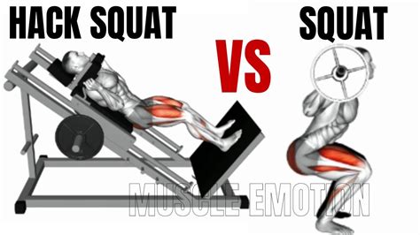 Hack Squat Vs Squat