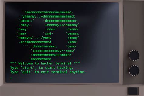 hacker terminal