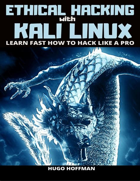 Hacking: Learn Fast How To Hack Any Wireless Networks, Penetration Testing Hacking Book, Step By Step Implementation And Demonstration Guide ( Wireless Hacking Book 3)