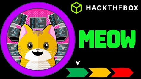 Hackthebox Meow Walkthrough