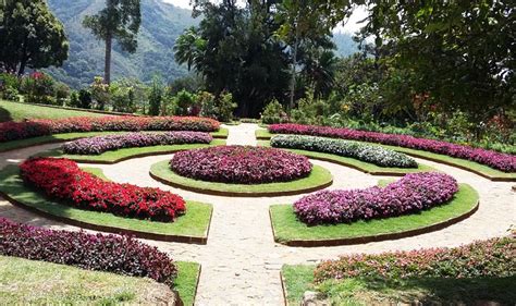 Haggala Garden Sri Lanka