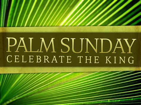 Hail To The King Palm Sunday School Lesson Sunday School Lessons For Kindergarten - Sunday School Lessons For Kindergarten