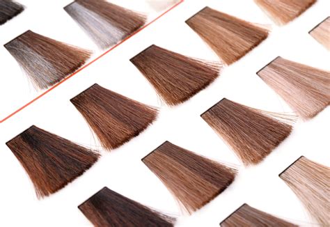 Hair Color Theory 101 Salonory Studio Hair Colour Science - Hair Colour Science