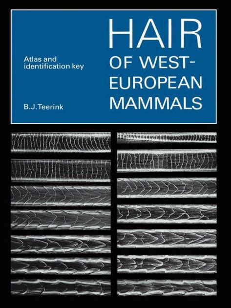 Full Download Hair Of West European Mammals Atlas And Identification Key 