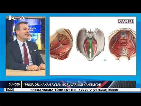 veodersti.rgarabwor.edu.pl. 
