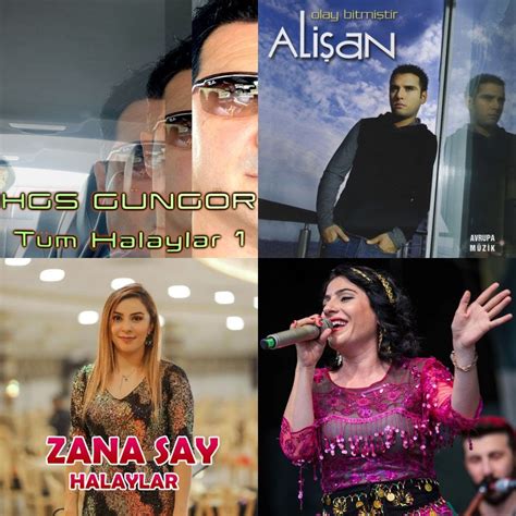 halaylar Forumsal.