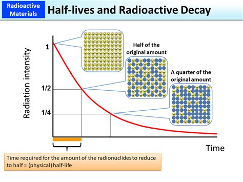 Half Life And Radioactive Decay Graph Worksheet Beyond Radioactive Decay And Half Life Worksheet - Radioactive Decay And Half Life Worksheet