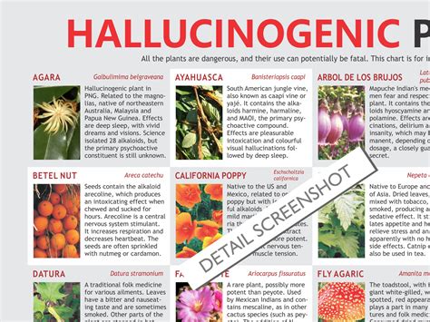 Hallucinogenic Plants