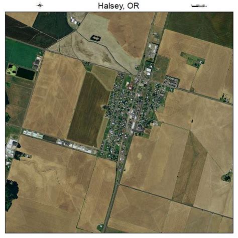 halsey oregon