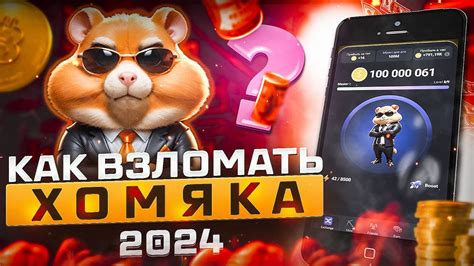 hamster взлом