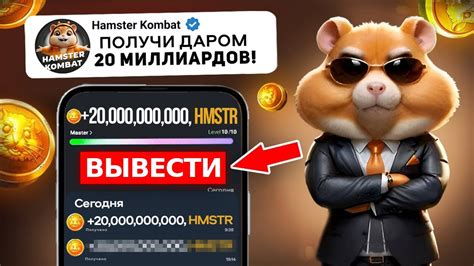 hamster запущен