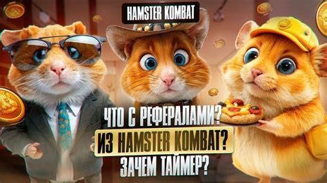 hamster ответы