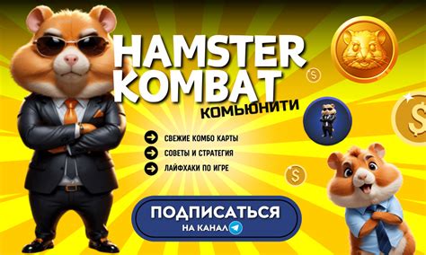 hamster шифр 22
