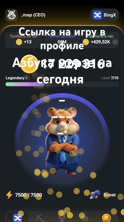 hamster combat азбука морзе m vk com