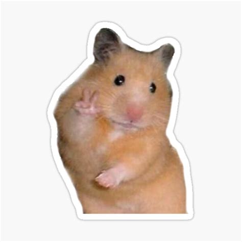 hamster kombat discord