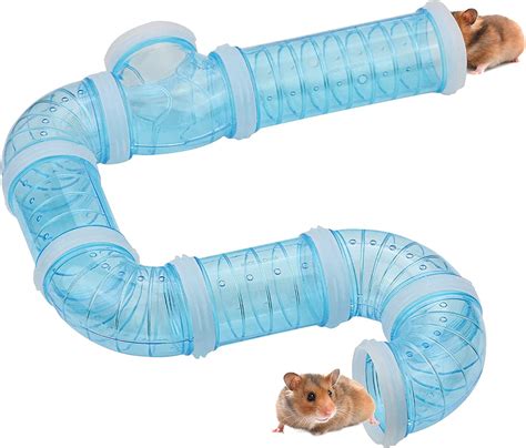 hamster kombat hamster tube