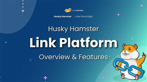 hamster link | Chut hamster The Hamster Shop