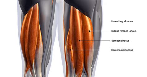 hamstring blessure