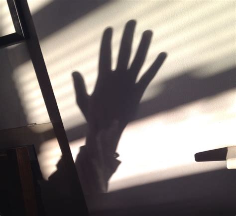 Hand And Shadow